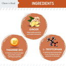 Chew + Heal Anxiety + Stress Calming Treats for Dogs 