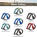 Ruffwear Front Range Dog Harness- Blue Pool