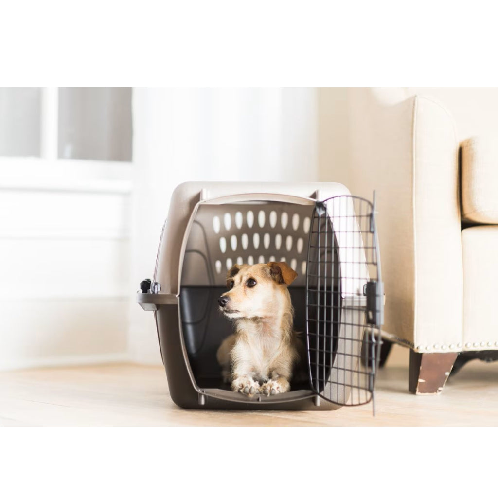 Petmate 2 Door Top Load Pet Kennel For Dogs & Cats