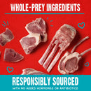 Stella & Chewy's Raw Coated Biscuits Grass-Fed Lamb Recipe Crunchy Dog Treats (9 oz)