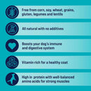 Stewart Beef Liver Freeze-Dried Treats For Dogs (14 oz)