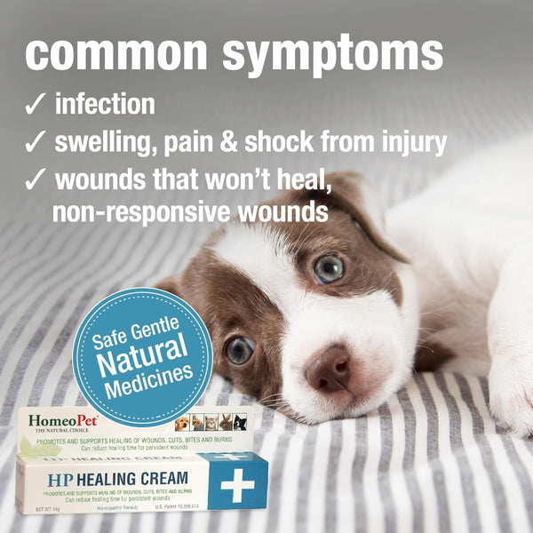 HomeoPet HP Healing Wound Cream For Pets (14 g)