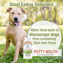 Four Paws Healthy Promise Potty Mouth - Coprophagia Stool Eating Deterrent Tablets for Dogs (90 ct)