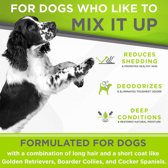 TropiClean PerfectFur Combination Coat Shampoo for Dogs (16 oz)