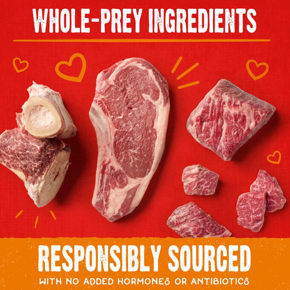 Stella & Chewy's Raw Coated Biscuits Grass-Fed Beef Recipe Crunchy Dog Treats (9 oz)