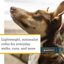 Ruffwear Hi & Light Dog Collar- Alpenglow Pink