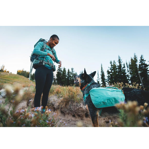 Ruffwear Front Range Dog Collar- Basalt Gray Neck Collar
