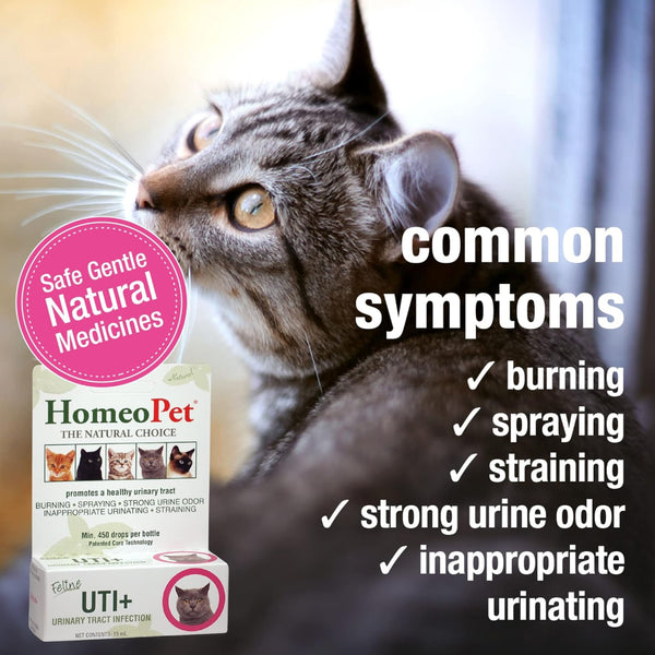 HomeoPet Feline UTI+ Urinary-Tract Support for Cats (15 ml)