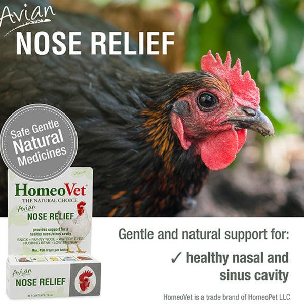 HomeoPet Avian Nose Relief For Poulty & Birds (15 ml)