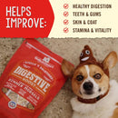 Stella & Chewy's Stella's Solutions Digestive Support Meal Topper for Dogs