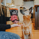 Go! Solutions Benefit Chews Sensitivies Limited Ingredient Salmon Recipe Soft & Chewy Treats for Dogs (6 oz)