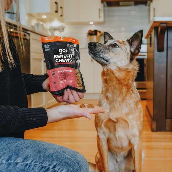 Go! Solutions Benefit Chews Sensitivies Limited Ingredient Salmon Recipe Soft & Chewy Treats for Dogs (6 oz)