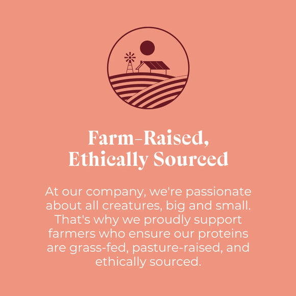 OTIS Wild Things Bison Jerky Treats for Dogs (4 oz)