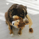 Kong Scampers Squeaky Toy For Dogs Toy- Lion (Medium)