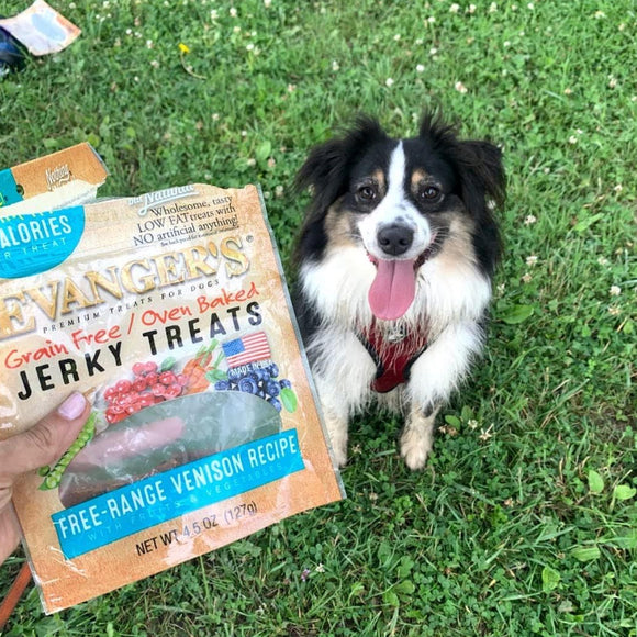 Evanger's Nothing But Natural Free-Range Venison Recipe Jerky Dog Treats (4.5 oz)