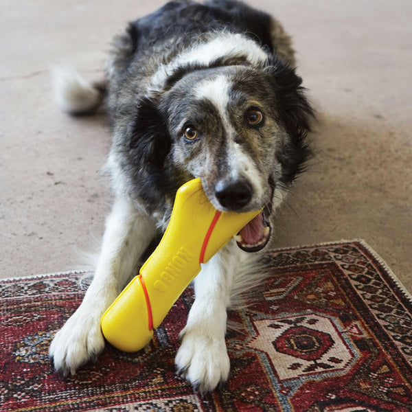 Kong Squeezz Tennis Buoy w/Rope Toy For Dog- Large