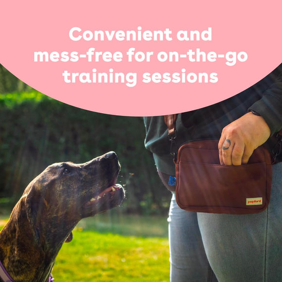 Pupford Train Freeze-Dried Salmon Training Treats for Dogs (4 oz)