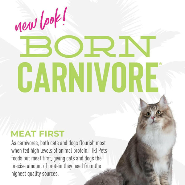 Tiki cat born carnivore