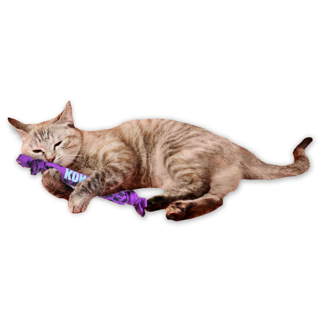 Kong Kickeroo Crunch Toy for Cats