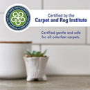 Rocco Roxie Oxy Multi Purpose Stain Remover Spray (32 oz)