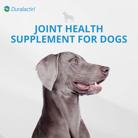 Duralactin® Canine Chewable Joint Health Supplement Tablets for Dogs