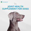Duralactin® Canine Joint Health Supplement Soft Chews for Dogs