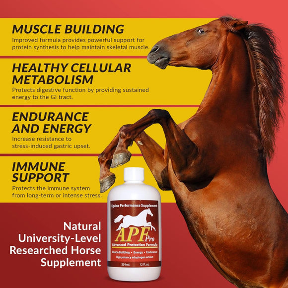 APF Pro Advanced Protection Formula Supplement for Horses