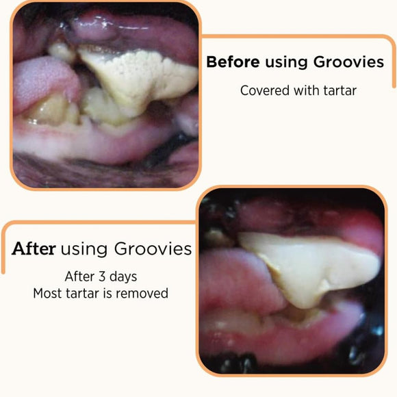 Groovies Senior Dental Chews for Dog