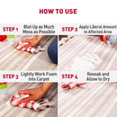 Nature's Miracle Dog Stain and Odor Remover Foam Aerosol Spray (17.5 oz)