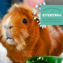 Oxbow Organic Bounty Adult Guinea Pig Food For Small Animals (3 lb)