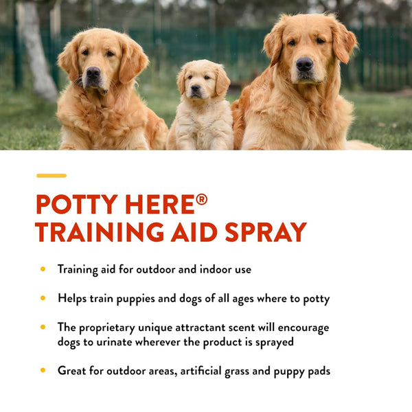 NaturVet Potty Here Training Aid Spray for Indoor & Outdoor Use (8 oz)