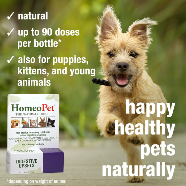 HomeoPet Digestive Upsets For Pets (15 ml)