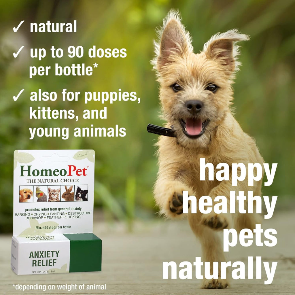 HomeoPet Anxiety Relief For Cats & Dogs (15 ml)