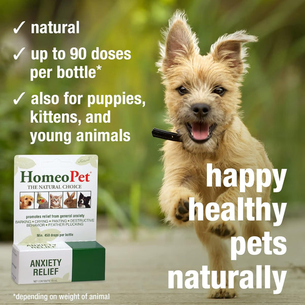 HomeoPet Anxiety Relief For Cats & Dogs (15 ml)