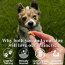 OTIS Wild Things Elk Trainers Bite-Sized Treats for Dogs (4 oz)