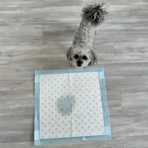 Dr. Bales Early Detection Health Monitoring Pee Pads for Dogs (22in x 22in)