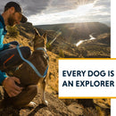 Ruffwear Hi & Light Dog Collar- Alpenglow Pink