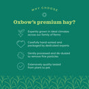 Oxbow Animal Health Oat Hay for Small Animals (15 oz)