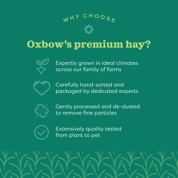 Oxbow Animal Health Oat Hay for Small Animals (15 oz)