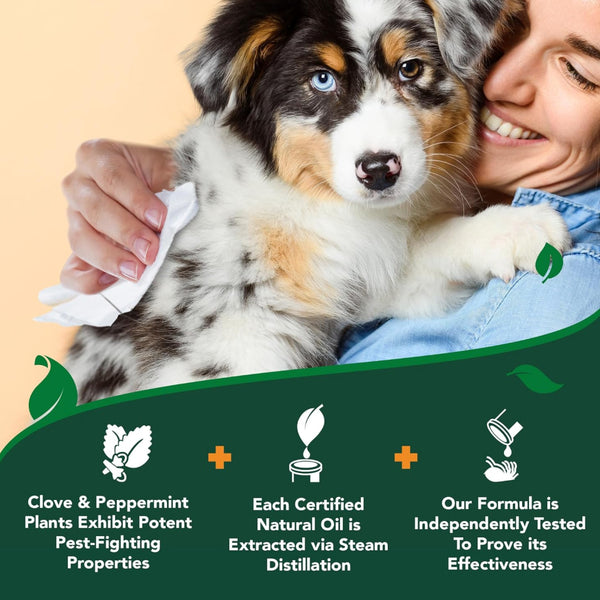 Vet's Best Flea and Tick Wipes for Dogs & Cats (50 ct)