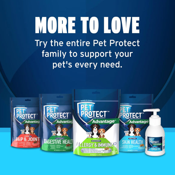 Pet Protect Allergy & Immune + Soft Chews for Dogs (60 ct)