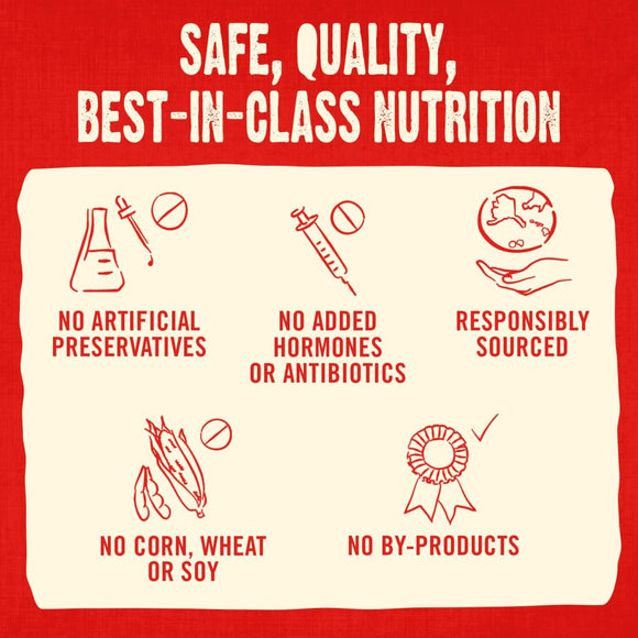 Stella & Chewy's Raw Coated Biscuits Cage-Free Chicken Recipe Crunchy Dog Treats (9 oz)