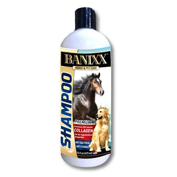 Banixx Horse & Pet Care Antifungal & Antibacterial Shampoo with Collagen (16 oz)