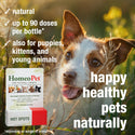 HomeoPet Hot Spots For Pets (15 ml)