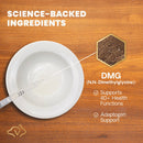 DMG Immunity Health 114 ml Liquid for Cats and Dogs