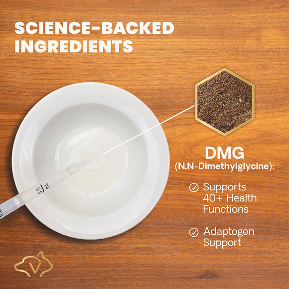 DMG Immunity Health 114 ml Liquid for Cats and Dogs