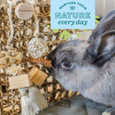 Oxbow Enriched Life –Small Animal Play Wall - Small