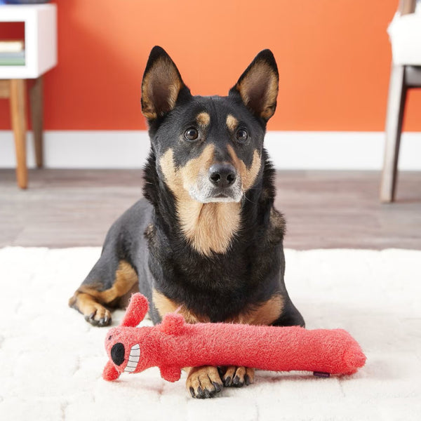 Multipet Loofa Dog The Original Squeaky Plush Toy For Dogs (color varies)