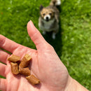 OTIS Wild Things Bison Trainers Bite-Sized Treats for Dogs (4 oz)