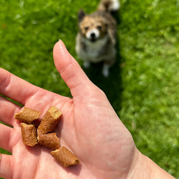 OTIS Wild Things Bison Trainers Bite-Sized Treats for Dogs (4 oz)